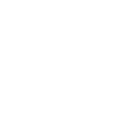 VELA